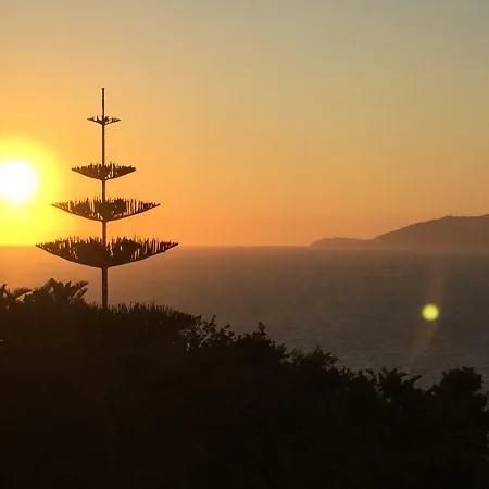Gasthof La Brezza Di Capri Anacapri (Isola di Capri)